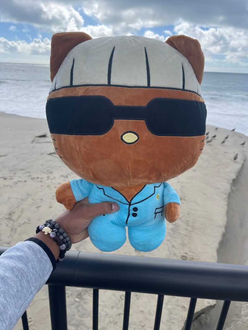 Tyler the Creator Brown V2 “Igor” Kitty Plush Toy